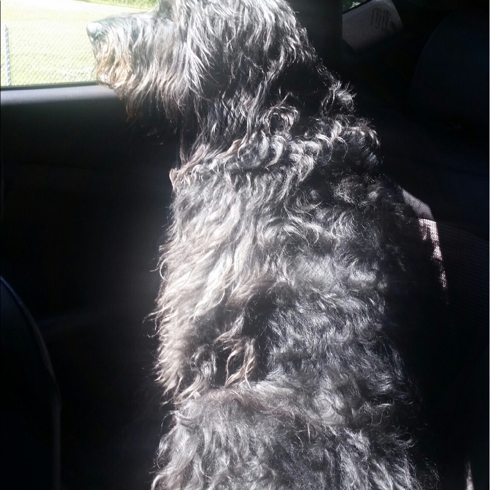 Meet your Posher, Kim