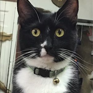 Meet your Posher, Belen