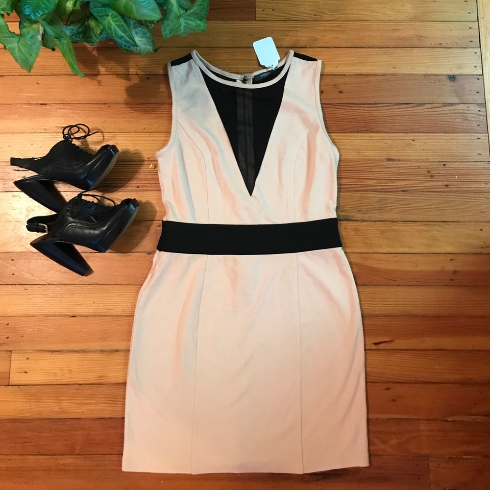 THEME DRESS🌻
