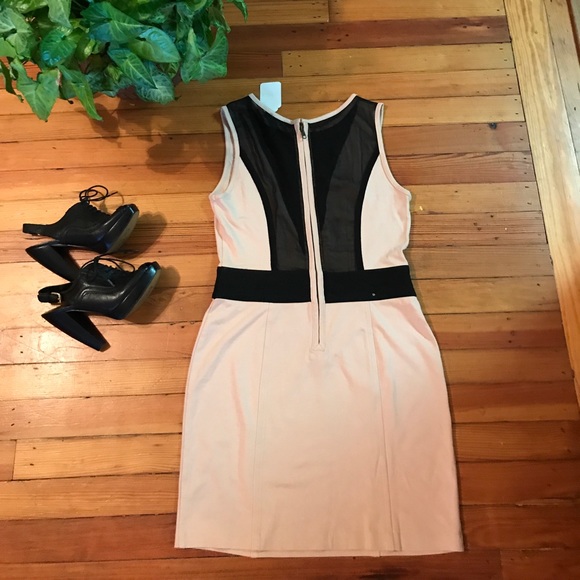 THEME DRESS🌻 - Picture 2 of 4