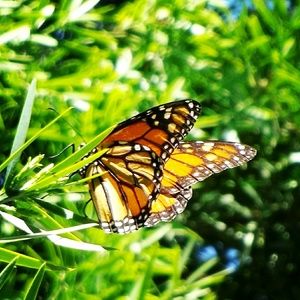 Meet your Posher, Greg