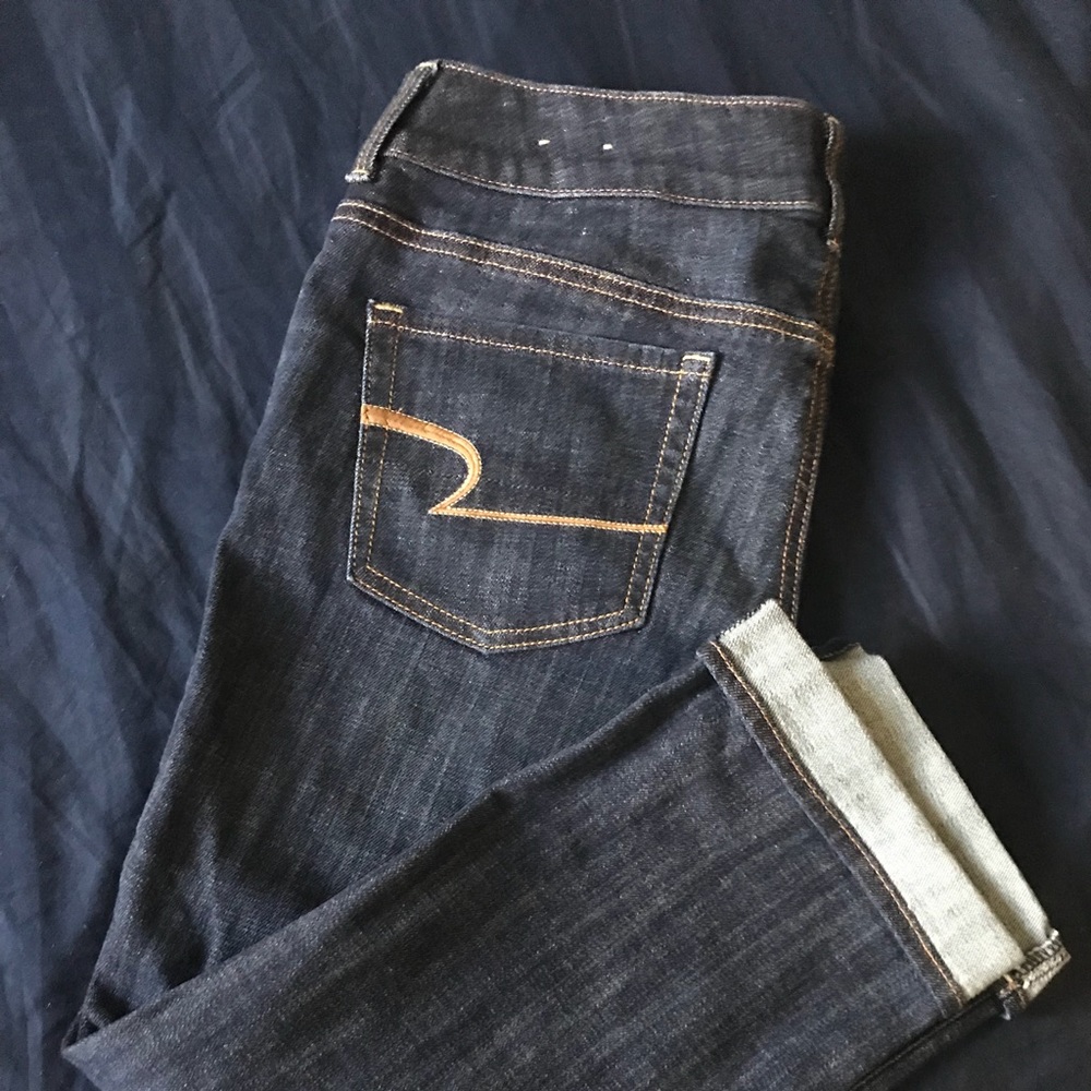 American Eagle Artist crop capris