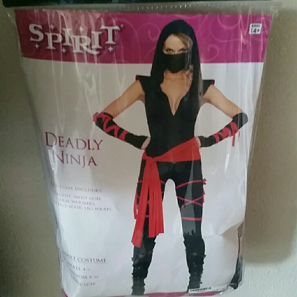 Ninja costume