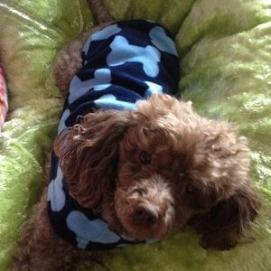 Meet your Posher, Lisa