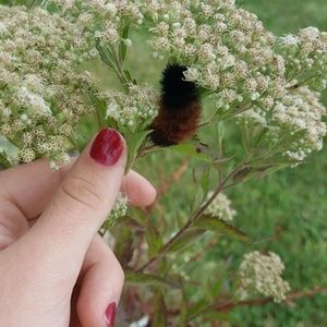 Meet your Posher, April