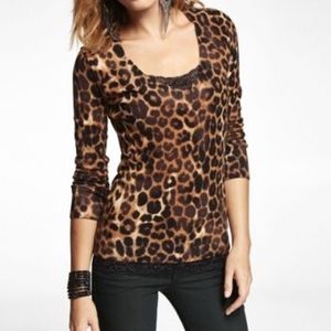 Express Cheetah V-neck Long Sleeve Knit Top