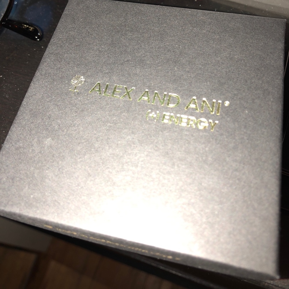 Alex and Ani Energy box