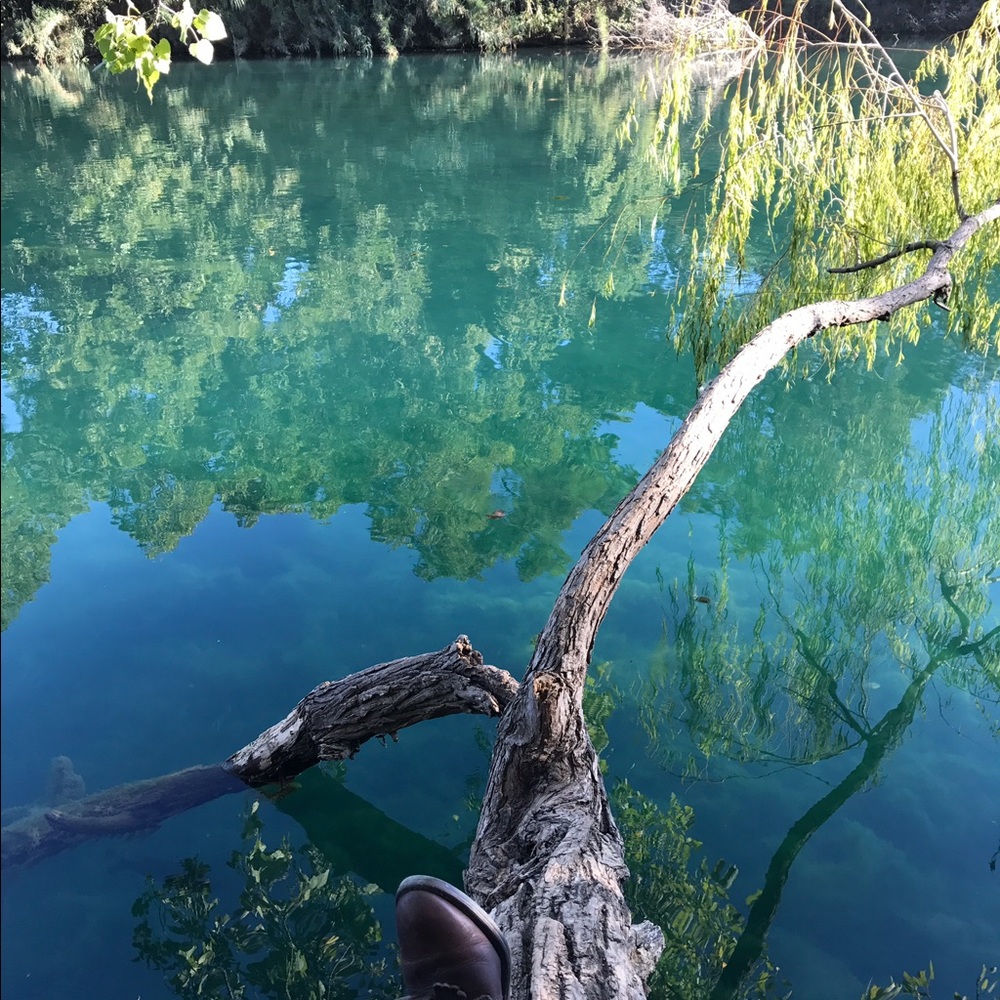 Meet your Posher, Rebecca