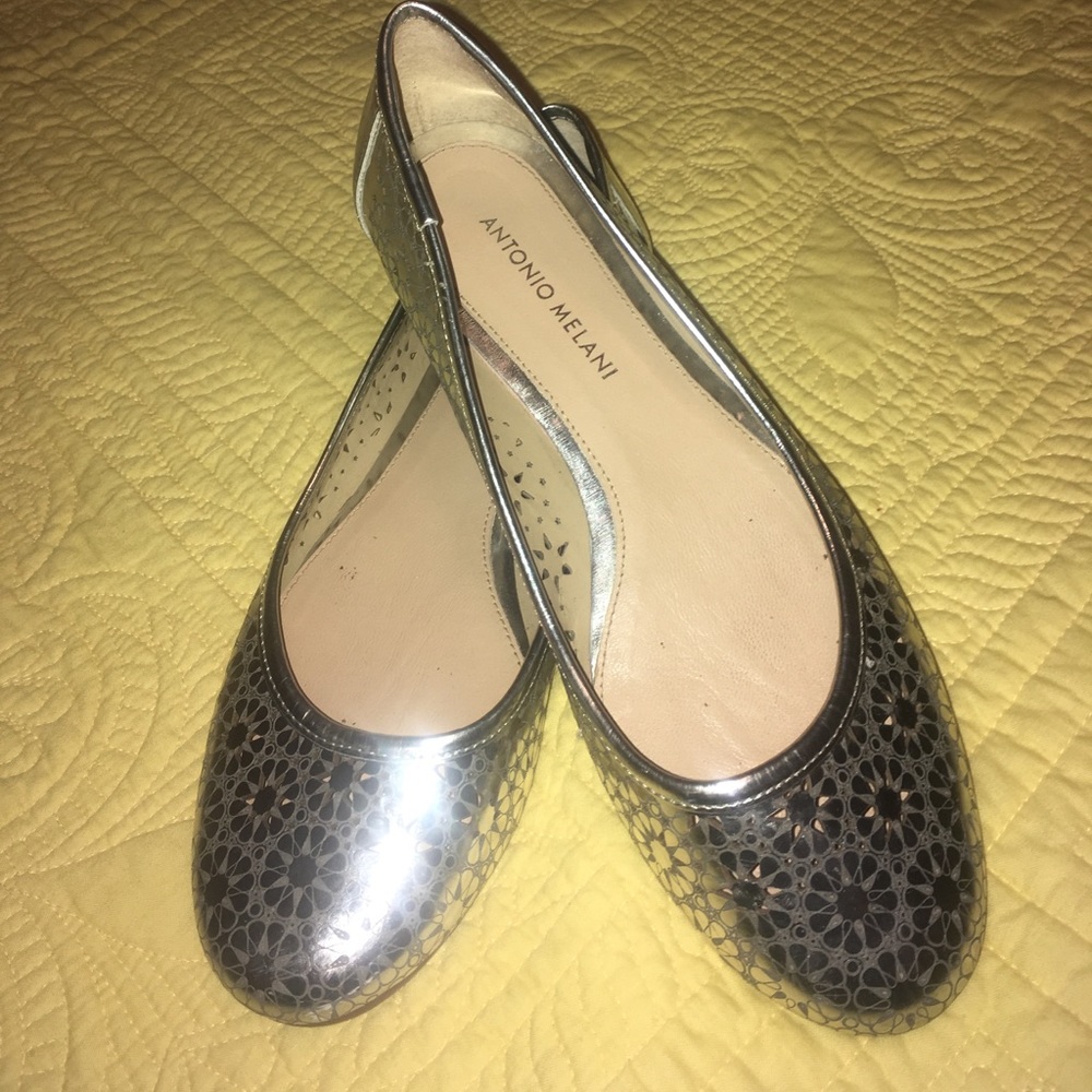 ✨HOST PICK✨Antonio melani silver flats