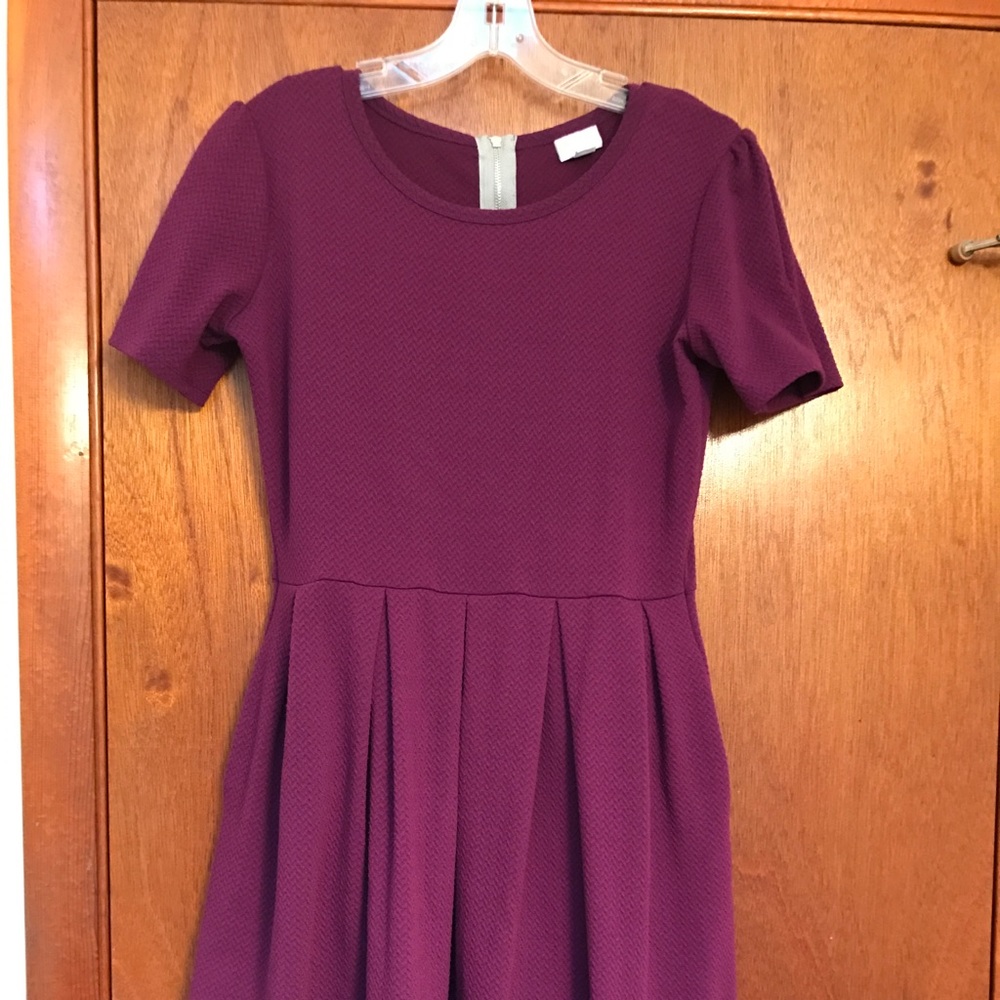 Gently used plum Lularoe Amelia.