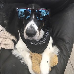 Meet your Posher, Matt