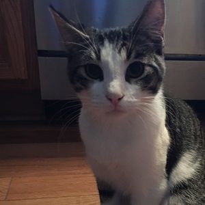 Meet your Posher, Amber