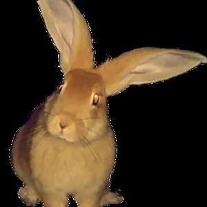 Meet your Posher, Katelynn