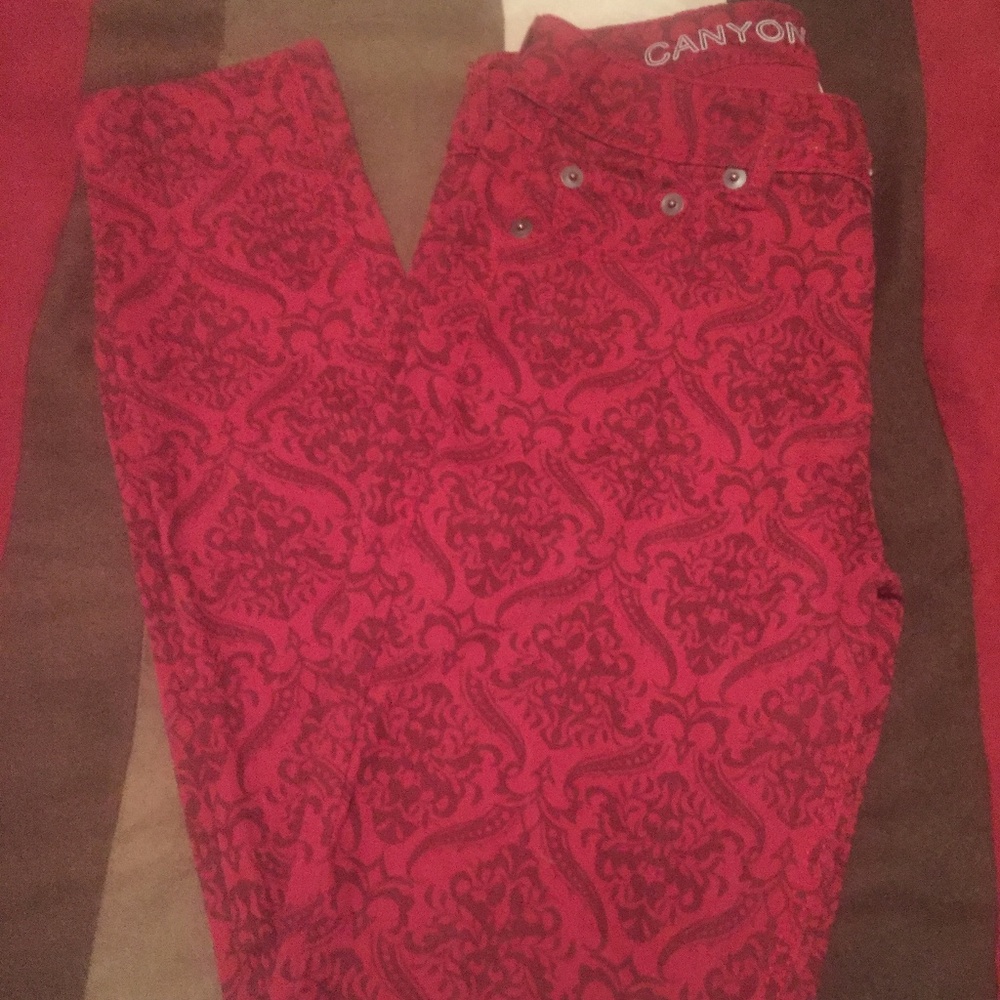 Blue River Canyon Maroon Skinny Pants