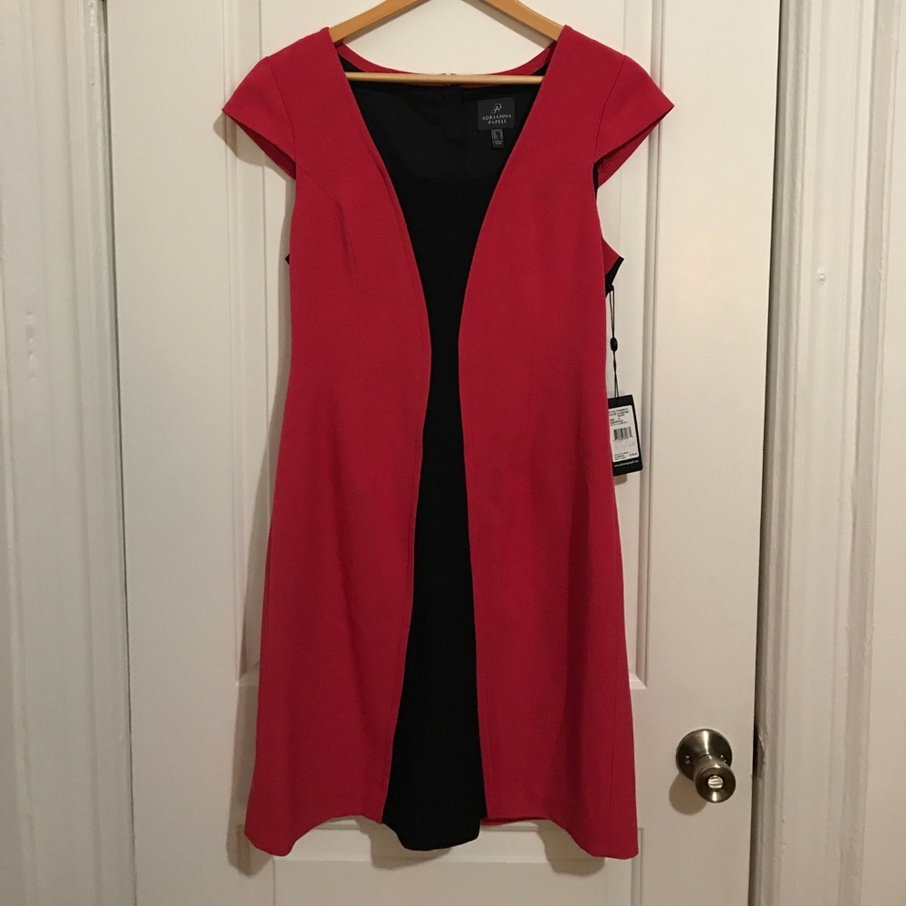 Adrianna Papell Dress NEVER WORN!