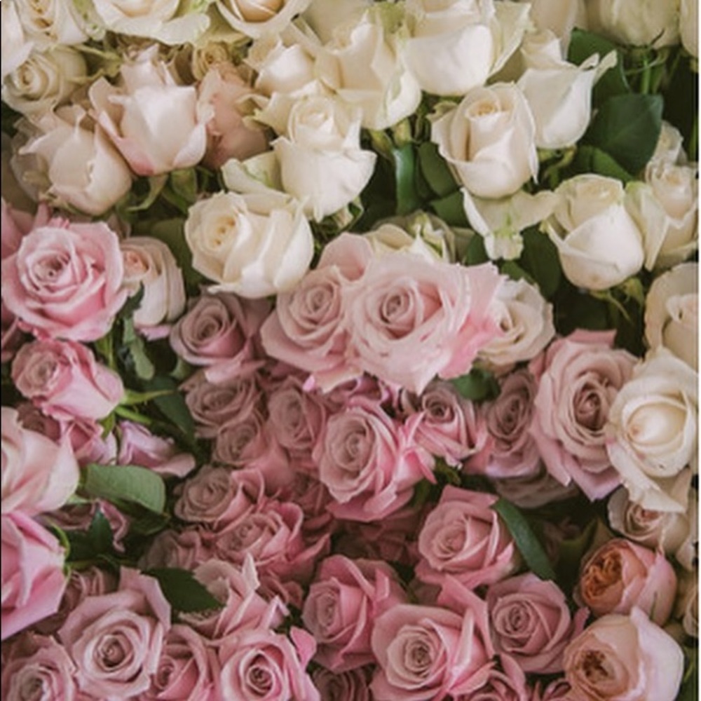 Meet your Posher, ELEVENVINTAGE