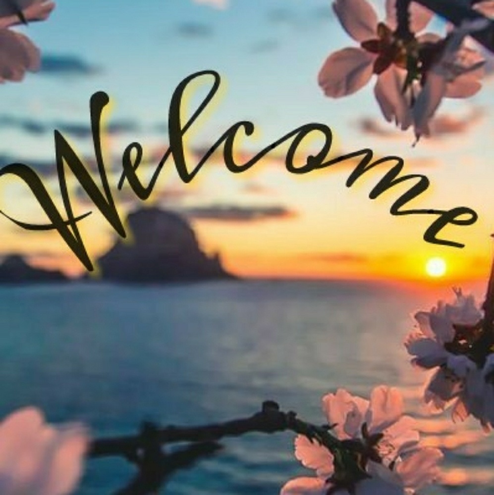 Welcome🤗🤗