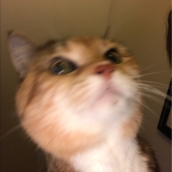 Meet your Posher, Beth - Picture 1 of 1