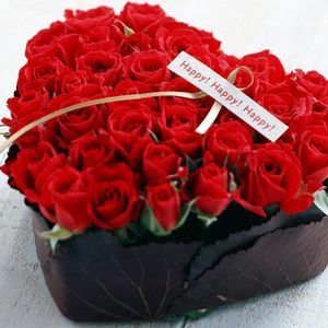 Meet your Posher, Mary luz