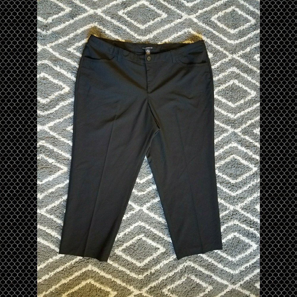24W Zac and Rachel short length slacks