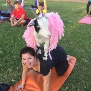 Meet your Posher, Rachell