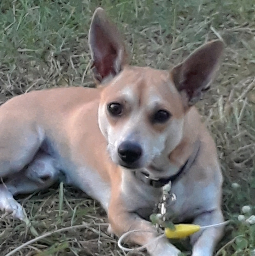 Meet your Posher, Rhonda