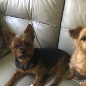 Meet your Posher, Lori