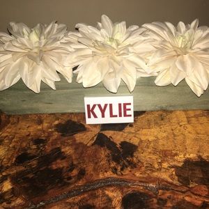Kylie cosmetics kiss me eyeshadow duo