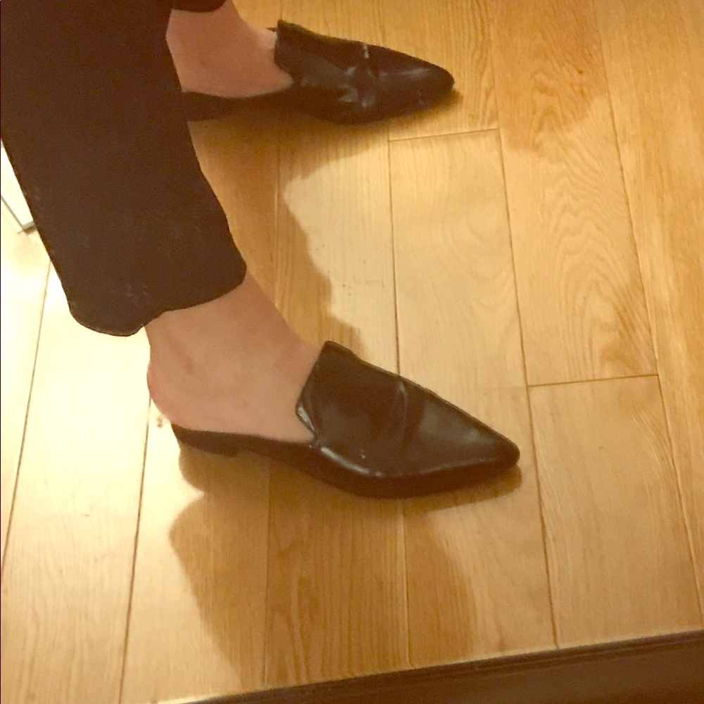 Shellys Black slides