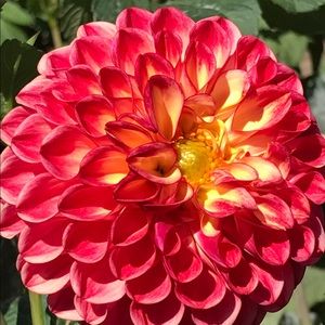 Meet your Posher, Mary beth