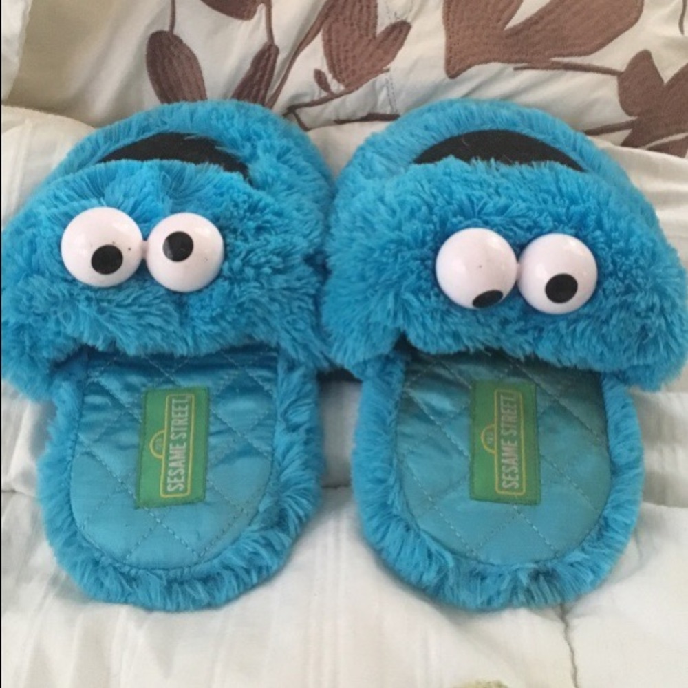Cookie Monster Slippers