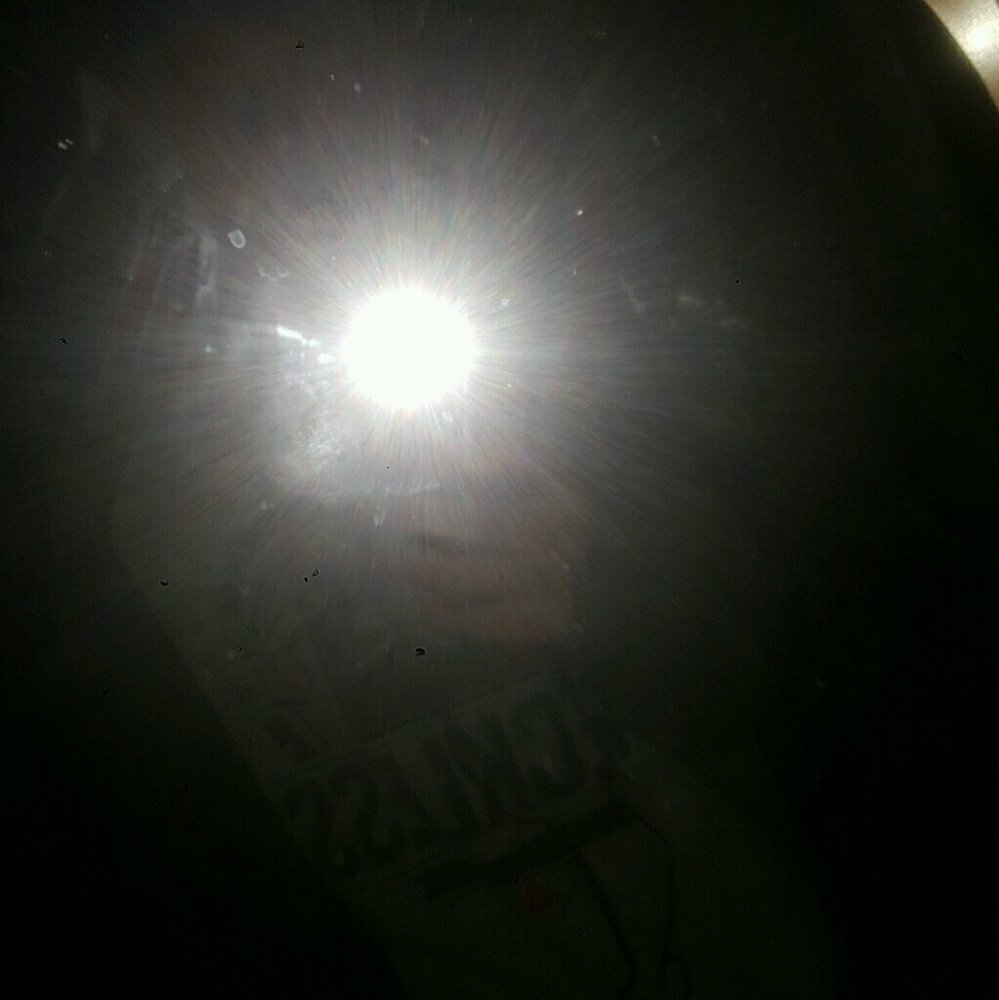 Meet your Posher, Torin