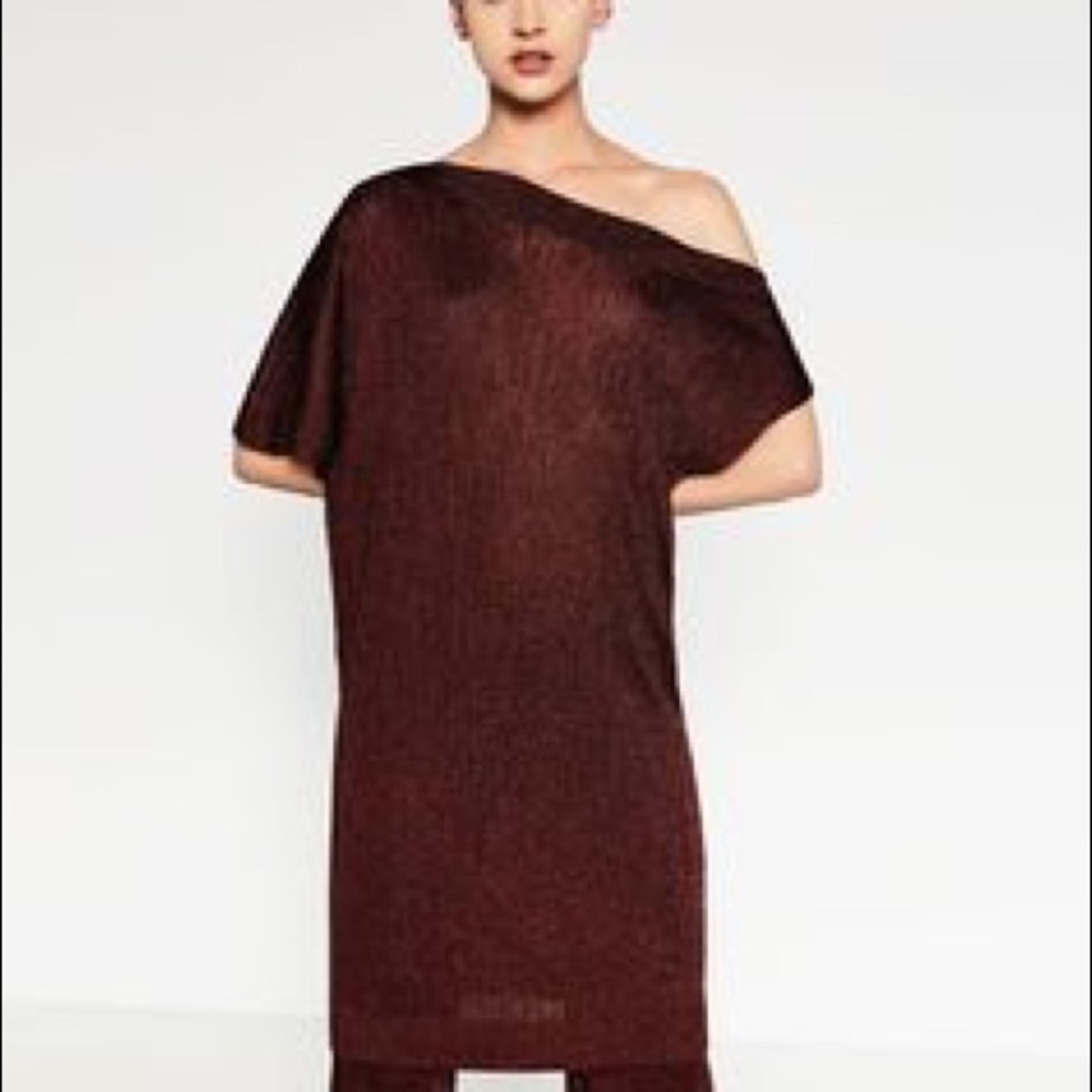 ZARA ASYMMETRIC SHEER TUNIC/DRESS
