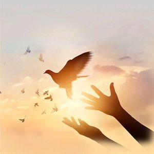 Meet your Posher, Lilia