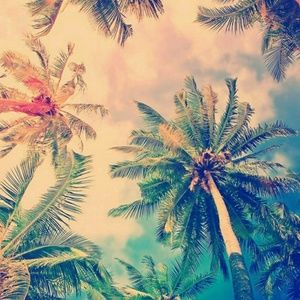 Meet your Posher, Bridgett