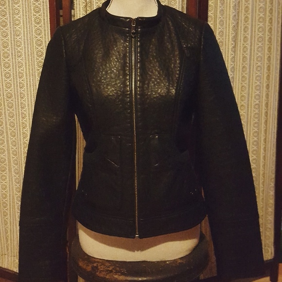 Steve Madden Moto Jacket - Picture 1 of 5