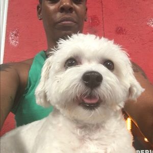 Meet your Posher, Monee