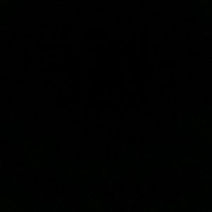 Meet your Posher, Teri