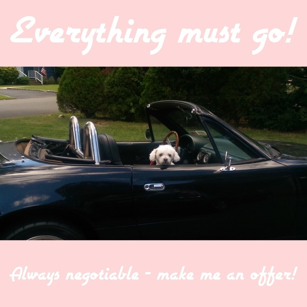 Constant Closet Clean Out!