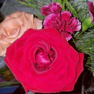 Meet your Posher, Jessika