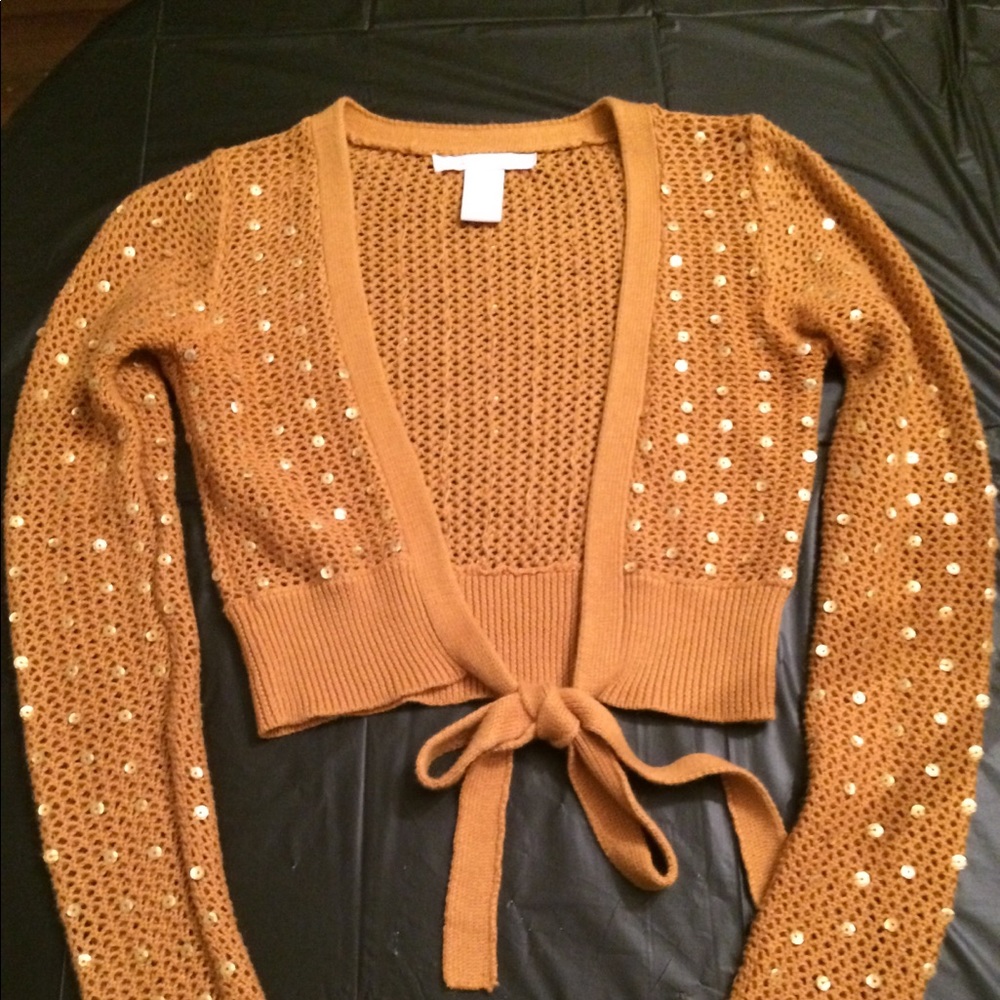 Sequined Crop Sweater