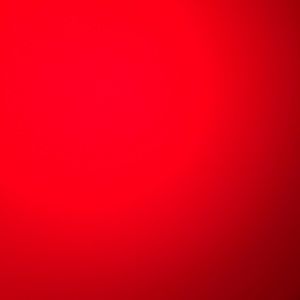 Meet your Posher, Denika