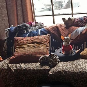 Meet your Posher, Leonna