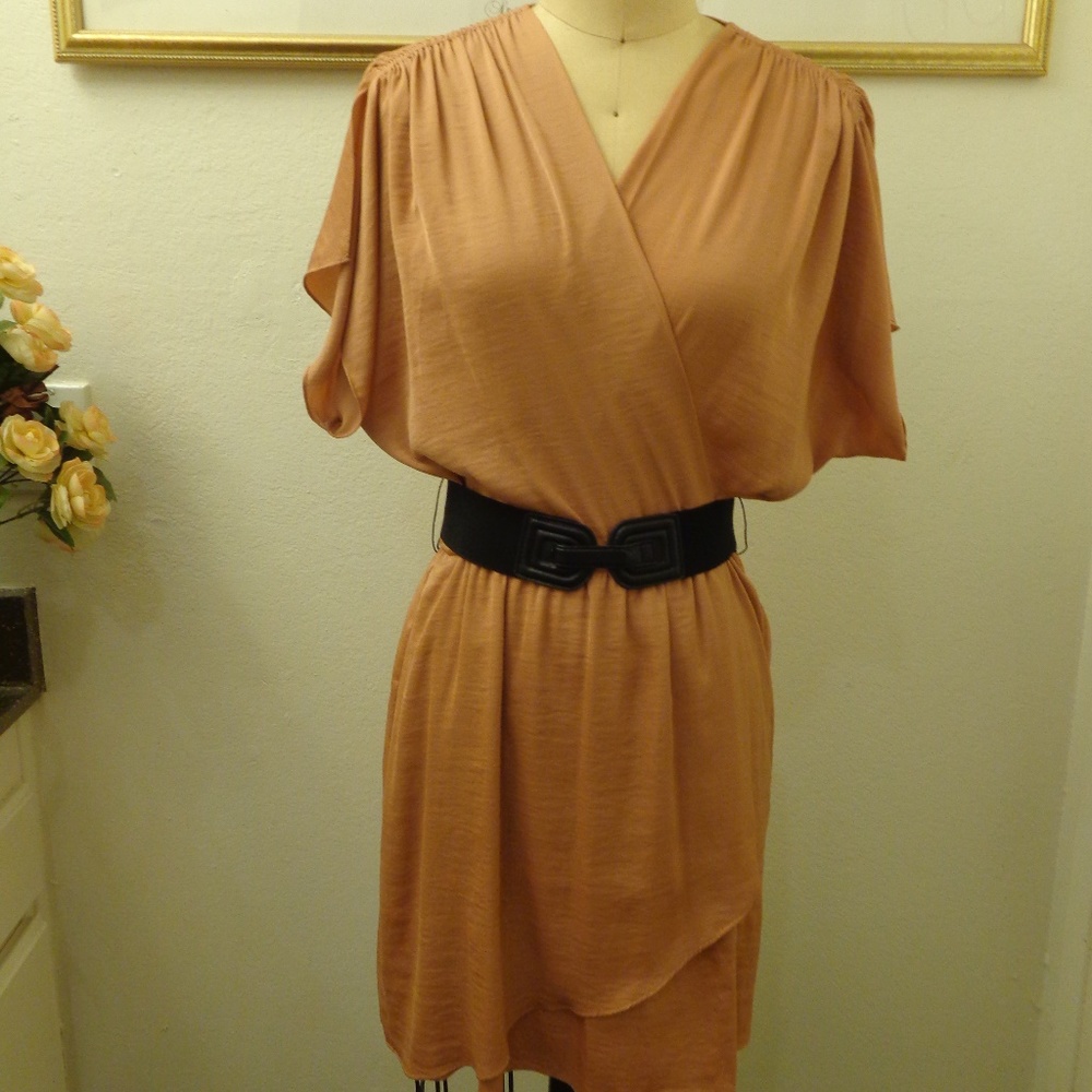 BCBGMAXAZRIA Copper Shift Tunic Dress