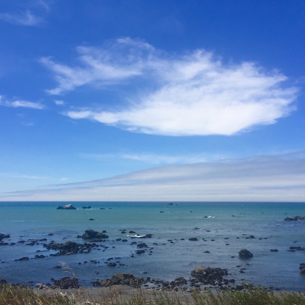 Meet your Posher, Makenna