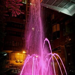 Meet your Posher, Flora