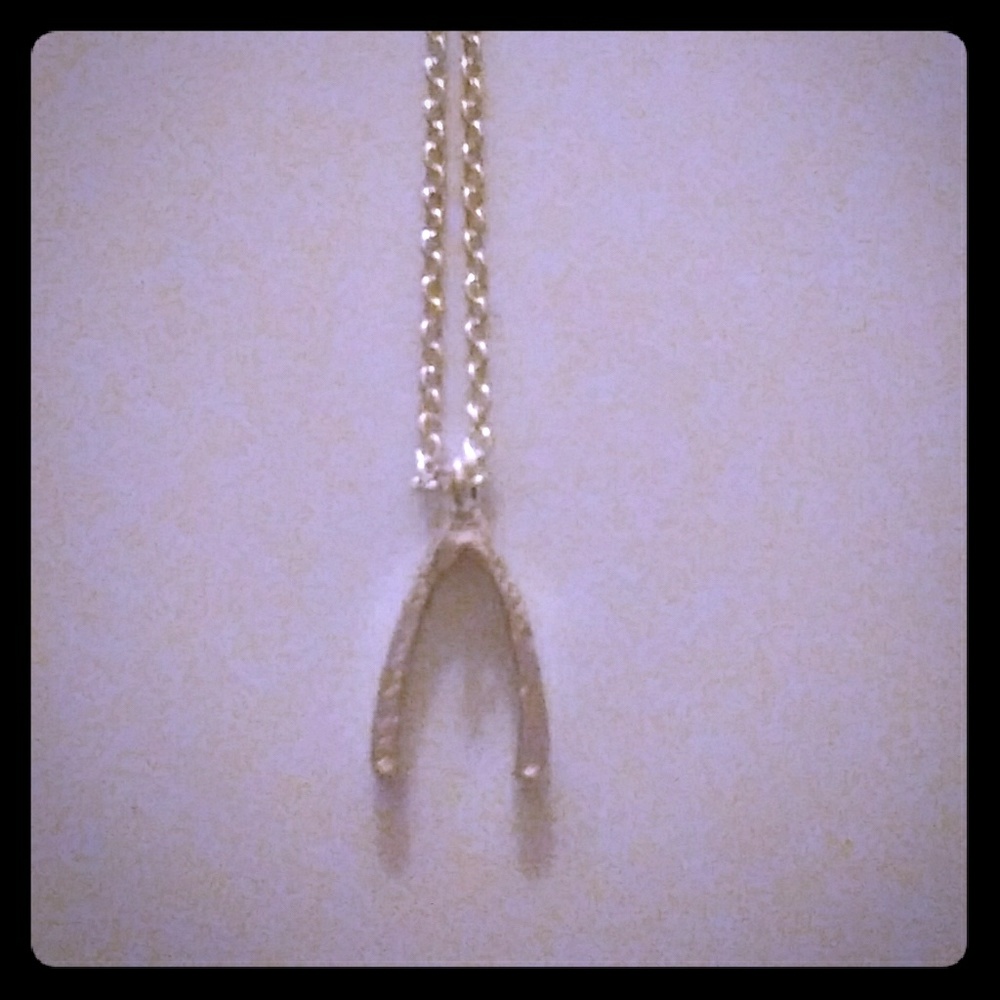 Small Silver Wishbone Necklace