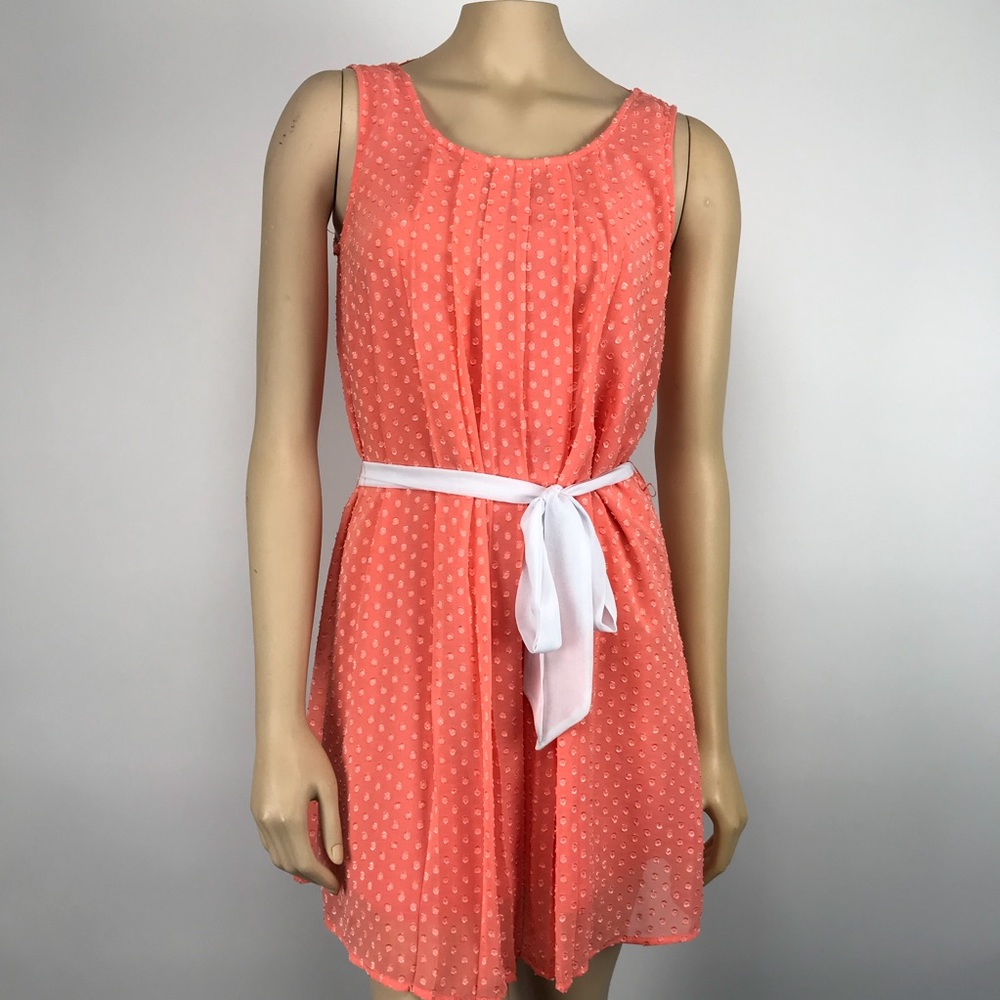 NWT Francesca’s Collection Sun Dress