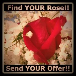 Find YOUR Rose 🌹💲🌹 Send YOUR Offer