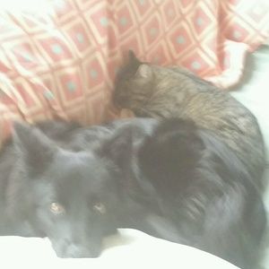 Meet your Posher, Margaret